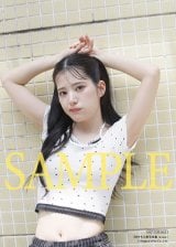 �w�c���������ʐ^�W reveal�x10��6������ 