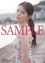 �w�c���������ʐ^�W reveal�x10��6������ 