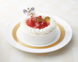 TOIRO XmasXgx[V[gP[L 