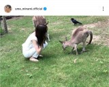 �~�V���g(�ʐ^�̓C���X�^�O���� @ume_minami.official ���) 