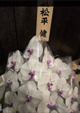 �����p�������J�����A�o�D���ԁE������������������ (�ʐ^�̓u���O���) 