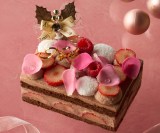 ^UjAVR䕂̃V[gP[L ( c8~12~6cm) 8,424~ 