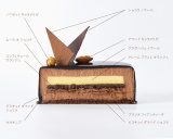 �wEnvol (�A�����H��)�x�̒f�ʐ} 