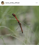 ���M���q�u����c��ڕւ�6�v�u�g���{�̘A����s�v(�ʐ^�̓C���X�^�O���� @isono_kiriko ���) 