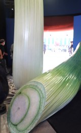 ���E�֐����� ���ԃp�r���I���u�悵���� waraii myraii�فv����A�[�g��i�u�₢��������l�M�v�����̏��L�Ҍ���E���n�Z�����j�[�̖͗l (C)ORICON NewS inc. 