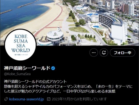 �_�ː{���V�[���[���h�̌���X��� 