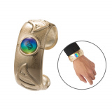 �|�P�����V�O�b�Y�wPokemon LEGENDS Z-A�x�o�� (C)2025 Pokemon. (C) 1995-2025 Nintendo/Creatures Inc./GAME FREAK inc. 