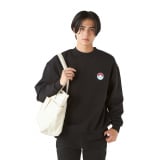 �|�P�����V�O�b�Y�wPokemon LEGENDS Z-A�x�o�� (C)2025 Pokemon. (C) 1995-2025 Nintendo/Creatures Inc./GAME FREAK inc. 