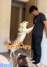 �A���̂�������ɘb�������郂�j�J 