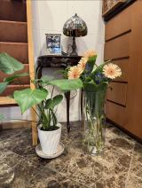 �x�����݁u�䂪�Ƃ̌��ւ̚�ɂ��Ԃ������Ă��������܂����v (�ʐ^�̓u���O���) 