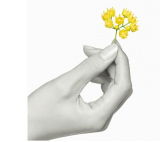 �����f�� 