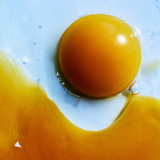 �A���o���w���ɂ�[�x�W���P�b�g 