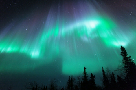 ��򂽂���������w�ɒ񋟂����I�[�����摜���f��w���ق̊͑� �k�ɊC��C��x�i���J���jVFX���C�L���O�f�� �iC�j2025 Amazon Content Services LLC OR ITS AFFILIATES. All Rights Reserved. �iC�j���킮���������^�u�k�� 