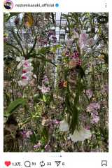 X؊̃CX^O(@nozomisasaki_official ) 