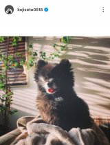 ���ˍN�j �u���߁A�܂�����ˁv(�ʐ^�̓C���X�^�O���� @kojiseto0518 ���) 