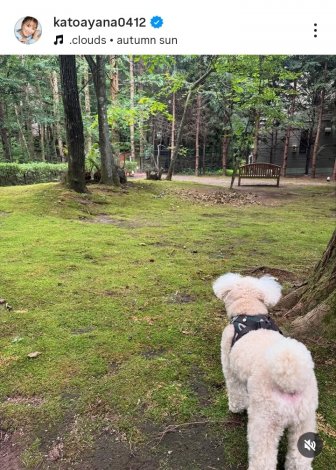 �������؁u��l�̌y���̗��v�i�ʐ^�̓C���X�^�O���� @katoayana0412 ���j 