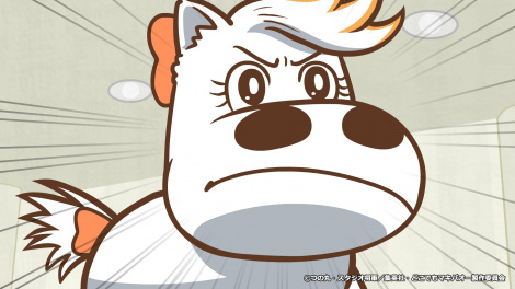 �w�ǂ��ł��}�L�o�I�[�x��2���̏�ʃJ�b�g�iC�j�̊ہE�X�^�W�I���R�^�W�p�ЁE�ǂ��ł��}�L�o�I�[����ψ��� 