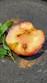 udqWōĂSv(摜:kB @kita0244) 