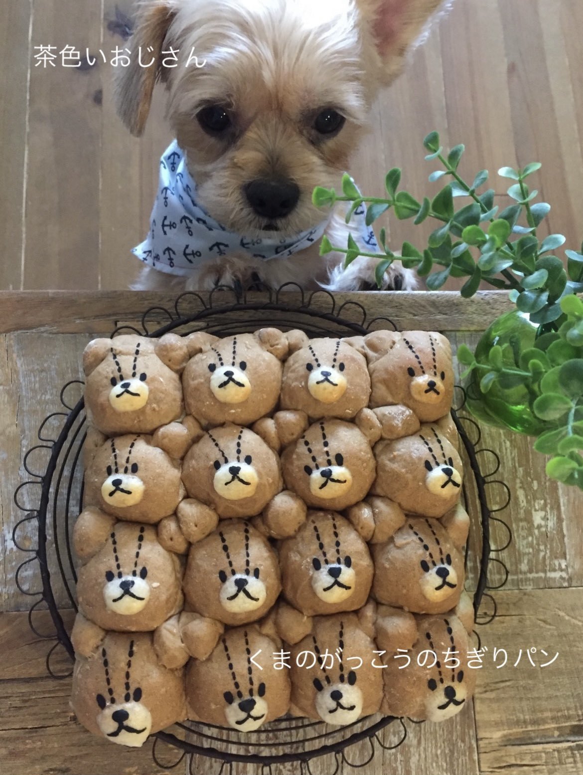 u䂪Ǝ̍V˃pv(摜:R} @good4_smith) 