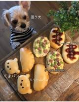 u䂪Ǝ̍V˃pvi摜񋟁FR}@@good4_smithj 