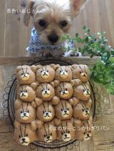 u䂪Ǝ̍V˃pv(摜:R} @good4_smith) 