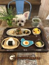 XAJEgE@good4_smitḧERƃR}̎藿(ʐ^X) 