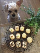 XAJEgE@good4_smitḧERƃR}̎NbL[(ʐ^X) 