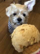 XAJEgE@good4_smitḧER(ʐ^X) 