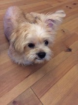 XAJEgE@good4_smitḧER(ʐ^X) 