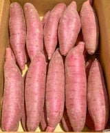 t@[̏nׂɂ͂邩(摜:t@[ @iwasakifarm) 