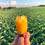 摜:t@[ @iwasakifarm 