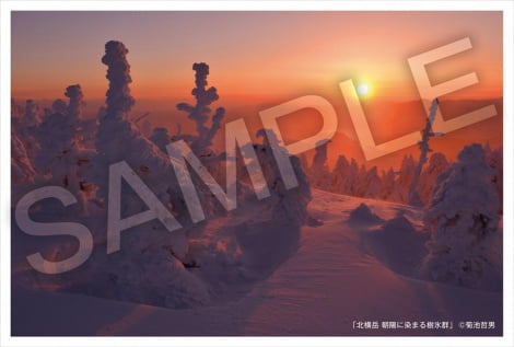 ���r�`�P�J�[�h�w���ғ��T���h�L�������^���[�w������ �����x�ɐ����� ����Łx2026�N1��9����蓌���E�q���[�}���g���X�g�V�l�}�L�y���ق��S���������J �iC�jTBS 