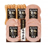 �i���D���A�v���}�n���̃A���o�T�_�[�A�C 