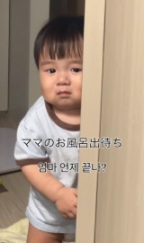 }}̂Co҂XC(摜:@p.8l7__) 