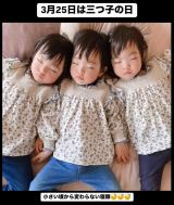 3q(Instagram/@_325_clover_) 