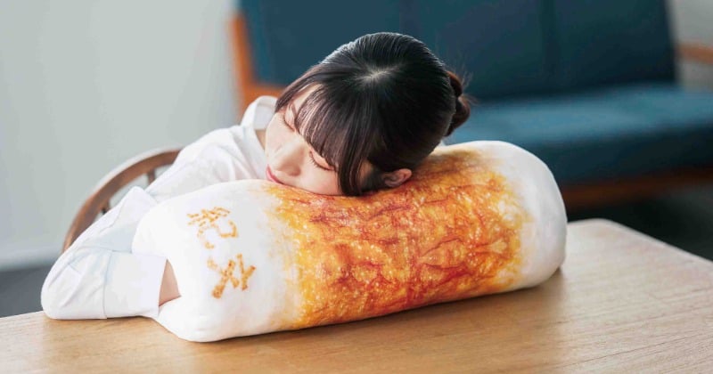 愛され続けて52年…紀文のちくわがふわもち触感のクッションに 約40本分