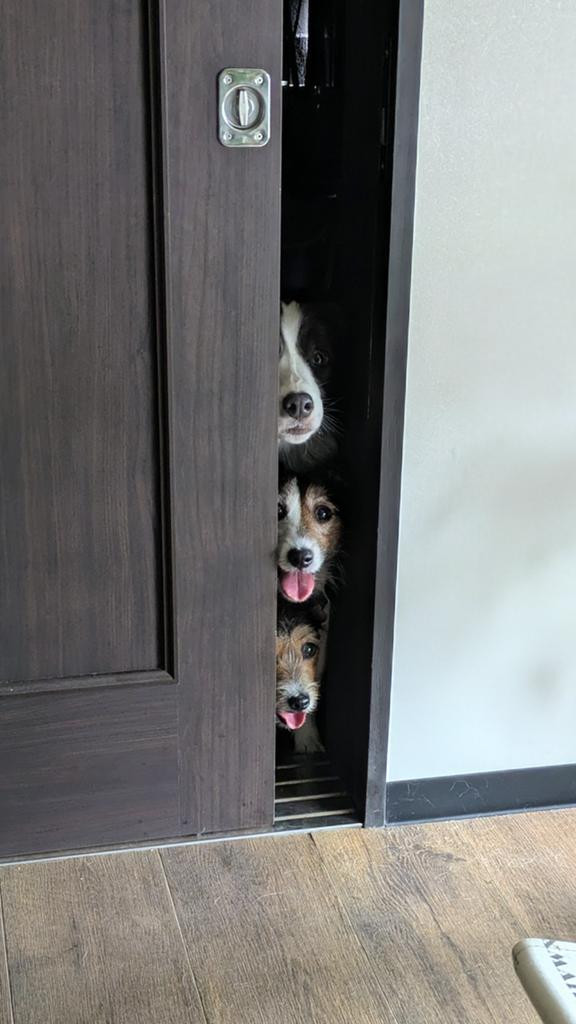 ܂Łuu[̉yv̂悤ȃ3C(摜:GȘQq @yoshimitropp) 