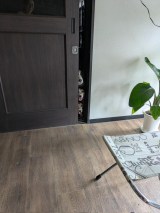 ܂Łuu[̉yv̂悤ȃ3Ci摜񋟁FGȘQq@@yoshimitroppj 