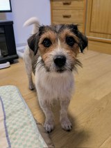 XAJEgEGȘQq(@yoshimitropp)̈EG(ʐ^X) 