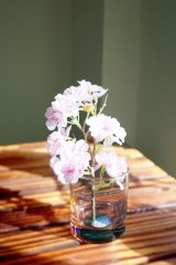 XyVObYu̍`THANK YOU SO MUCH!!`v 