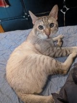 �u�ꐶ��؂ɍK���ɂ��邩��ˁ`�v�₷�q���ی�L���}�����ꂽ���Ƃ��(�ʐ^��X @yasuko_sma ���) 