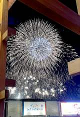 【万博閉幕】「ずっとクライマックス」最終日の花火 5分にわたって夜空に大輪の花「まさに圧巻」