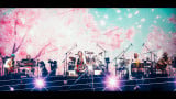 TUI[X^[YŐVcA[fiABonus DISCڍ׉ց@cA[̐ΐlA[i10Ȃ̉f^ 