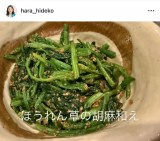 oqu ؏`Cv(ʐ^̓CX^O @hara_hideko ) 