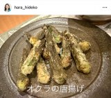 oqu ؏`Cv(ʐ^̓CX^O @hara_hideko ) 