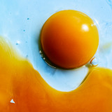 RADWIMPSwɂ[xiFjo[T ~[WbN^2025N108j 