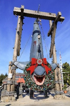 nMOEV[N(摜:jo[TEX^WIEWp) 