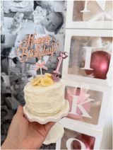 얢PuaŊ撣́v(ʐ^̓uO) 