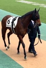 �M�҂̏o���n�E�x�����W�F�[�� (C)ORICON NewS inc. 