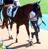 18���̐V�n��ŏ���!�M�҂̏o���n�E�G�s�b�N�N�C�[�� (C)ORICON NewS inc. 